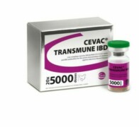 CEVAC® TRANSMUNE IBD -vial & package